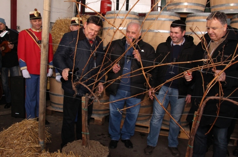 Novim nasadima na Klikunu vratili tradiciju