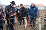 Vincelovo za Krauthakera znači početak nove vinogradarske godine