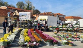 Od danas, ponedjeljak 28. listopada započinje prodaja cvijeća na prostoru parkirališta iza Gradske kuće Požega
