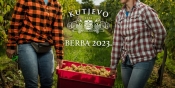 KUTJEVO d.d. - Završetak berbe 2023. i istaknuta svjetska priznanja