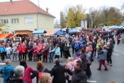 Odgođena proslava Martinja na Trgu graševine zbog epidemioloških preporuka