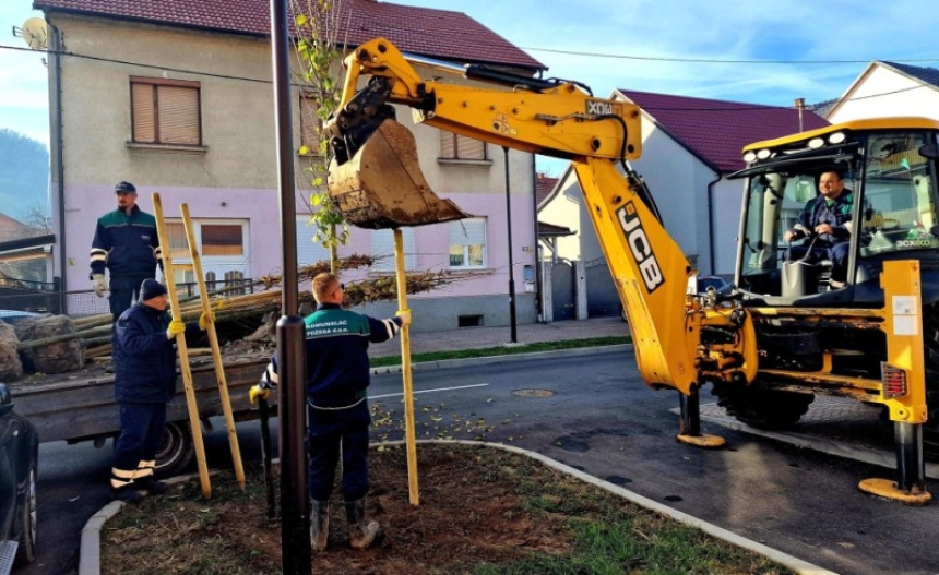 Nova stabla i trajni grmovi posađeni u Ulici dr. Franje Tuđmana