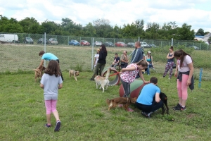 Otvoren prvi požeški „Park za pse“