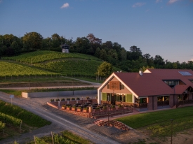 Gastro raj usred vinograda - Otkrijte Slavonsku kuću Vinkomir