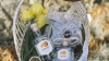 Castrum – novi slavonski craft gin koji je snažno povezan s lokalitetom