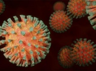 U posljednja 24 sata Hrvatska bilježi 406 novih slučajeva zaraze virusom uz 2 preminule osobe od Covid 19