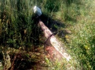 Sjekao stabla pa oštetio izolatore žice i dva betonska stupa HEP-a