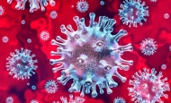 Hrvatska bilježi novi rekord sa 1.424 novo zaražena korona virusom uz ponovno 11 preminulih osoba