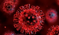 Hrvatska u 24 sata bilježi novih 2.698 pozitivnih osoba na korona virus uz 44 preminule osobe od Covid 19
