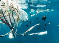 Hrvatska zabranila plastične vrećice za nošenje!